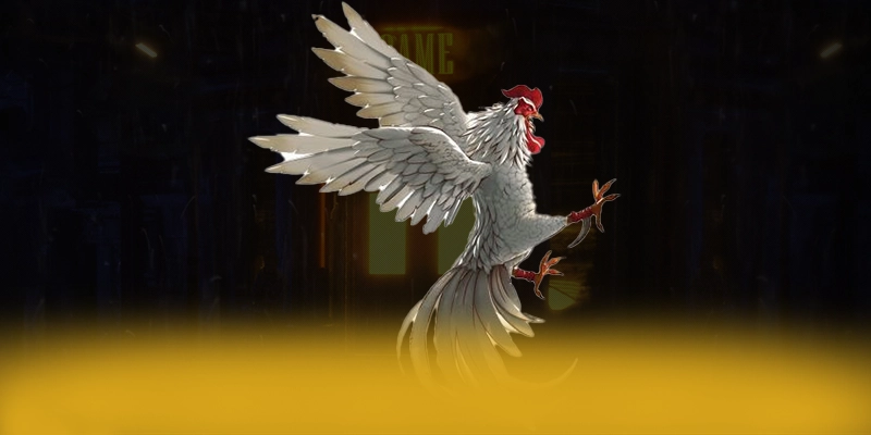 KUWIN - Hệ thống trò chơi trực tuyến đang làm mưa làm gió tại Việt Nam – Tìm hiểu KUWIN