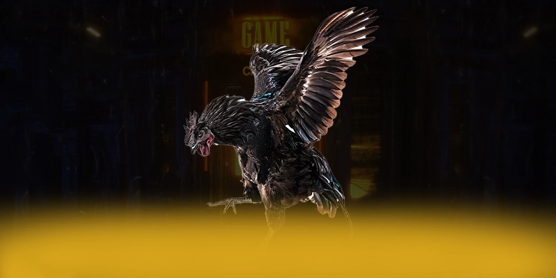 N88 - Lời kết dành cho người chơi. N88 - Lời kết dành cho người chơi.