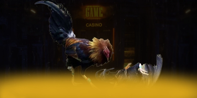 789WIN - Tổng quan đánh giá với đầy đủ ưu điểm nổi bật.