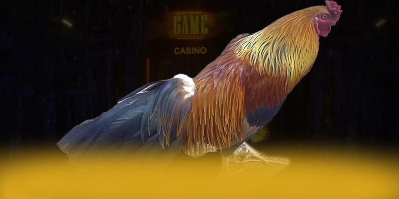 
Trải nghiệm VWIN - Cổng trò chơi uy tín trên thị trường
