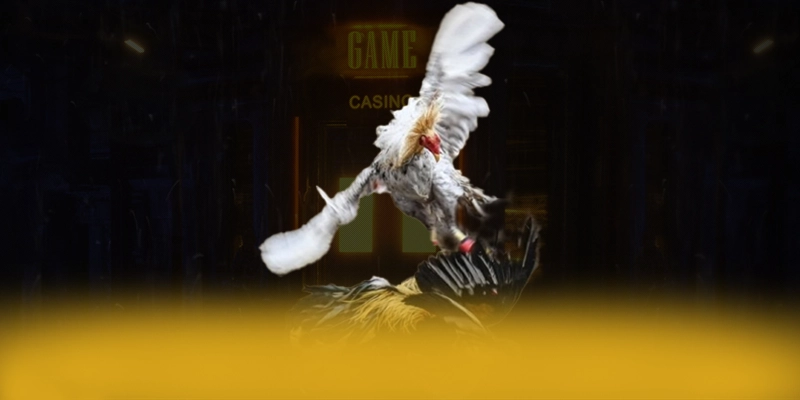 KUWIN – Nhà cái có thưởng lớn, đang làm mưa làm gió trên thị trường.