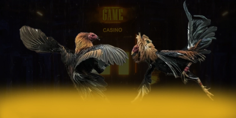 KUWIN - Kết luận với góc nhìn khách quan.