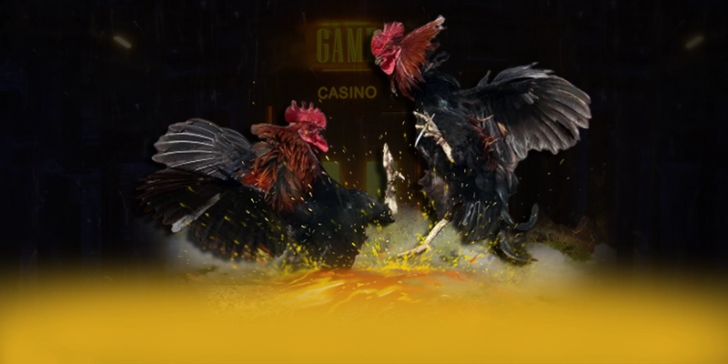 N88 - Nhà cái hiệu năng vượt trội được yêu thích nhất N88 - Nhà cái hiệu năng vượt trội được yêu thích nhất