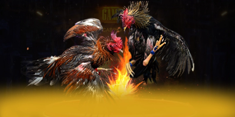 DAGA88 - Hệ thống trò chơi trực tuyến đang làm mưa làm gió trên thị trường – Tổng hợp game hot tại DAGA88