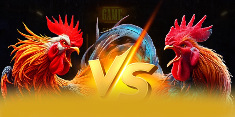 tài xỉu online - Trang game với chương trình tri ân lớn được quan tâm nhất – Cập nhật event và quà tặng tại tài xỉu online