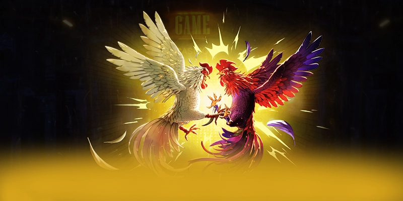 VWIN - Nhà cái có nhiều event hấp dẫn hiện nay – Khám phá VWIN