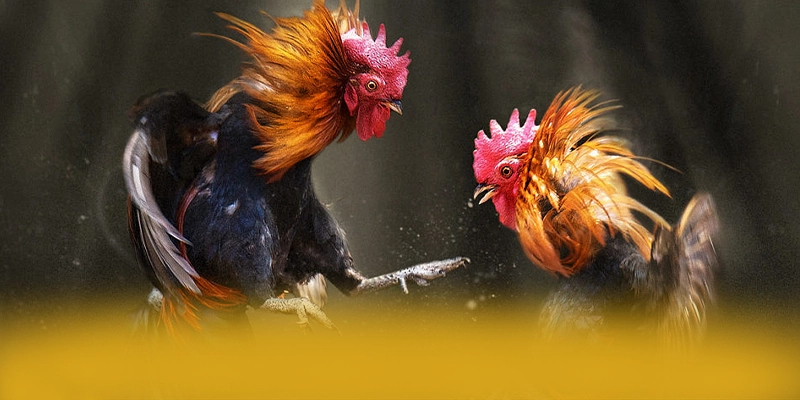 
Điểm nổi bật tại FC88 - Cổng game bài uy tín số 1 mới nhất hiện nay
