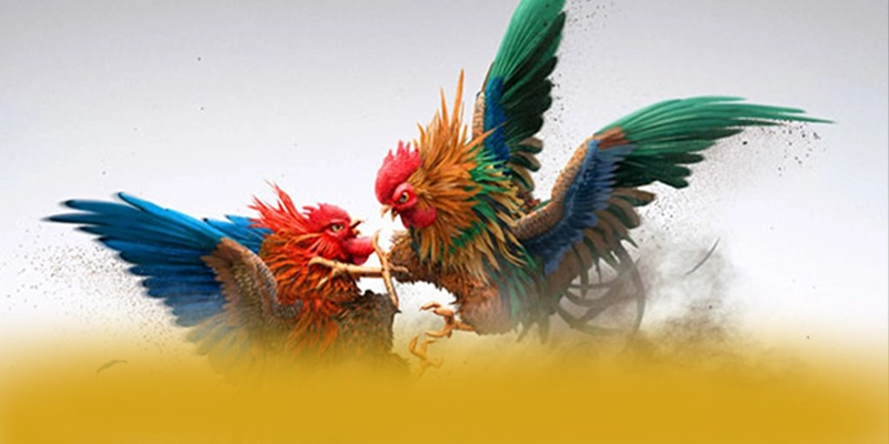 BL555 - Nền tảng cá cược được cộng đồng yêu thích nhất được game thủ lựa chọn – Khám phá ngay BL555