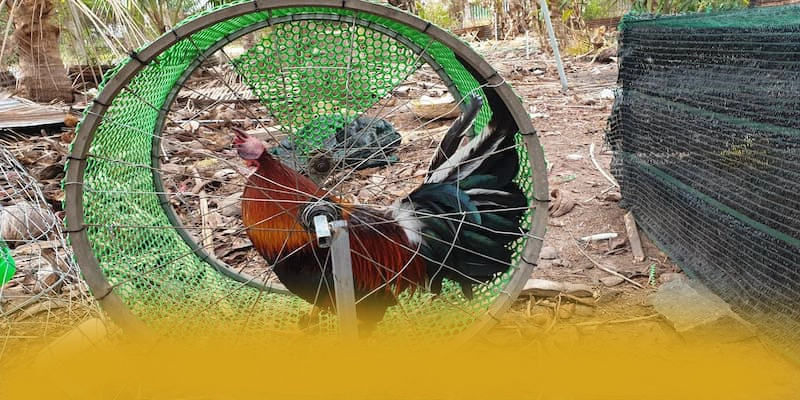 AU88 - Cổng giải trí được game thủ yêu thích được game thủ lựa chọn – Trải nghiệm siêu phẩm độc quyền tại AU88