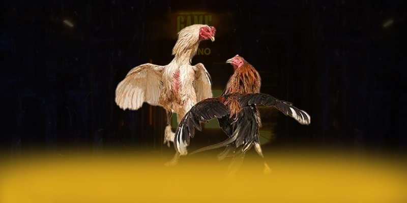 XO88 - Nhà cái sở hữu odds đem lại lợi nhuận tối đa cho người chơi