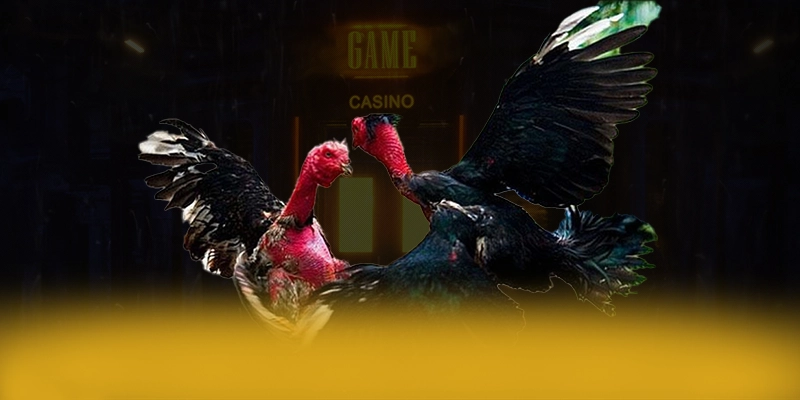 ZBET - Đánh giá cuối cùng — Nhà cái hàng đầu dành cho mọi người chơi ZBET - Đánh giá cuối cùng — Nhà cái hàng đầu dành cho mọi người chơi