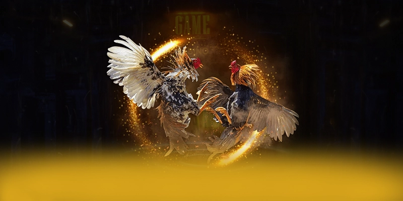 8XBET - Nền tảng cá cược sở hữu danh mục sản phẩm đa dạng 2026 8XBET - Nền tảng cá cược sở hữu danh mục sản phẩm đa dạng 2026