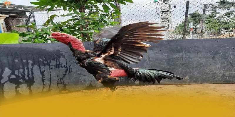 Hệ thống chăm sóc khách hàng tại GOOD88