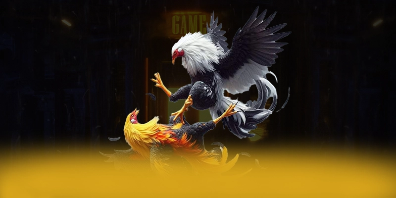 Đánh giá BET168 - Sảnh game được yêu thích nhất hiện nay