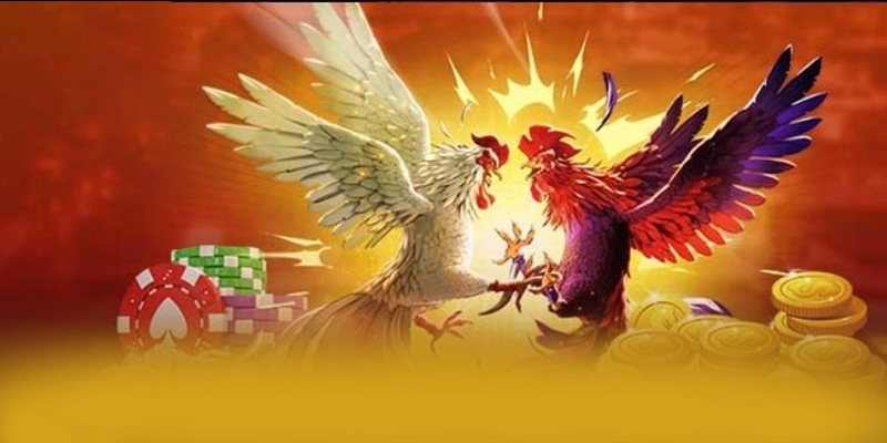 Dịch vụ hỗ trợ người chơi tại 8XBET